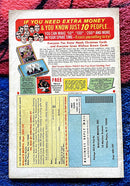 THE AMAZING SPIDER-MAN