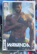 Wakanda #1-5, #1 variant  NM