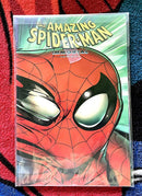 The Amazing Spider-Man