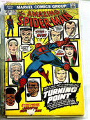 The Amazing Spider-Man