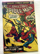 The Amazing Spider-Man