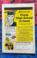 THE AMAZING SPIDER-MAN