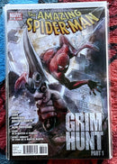 The Amazing Spider-Man