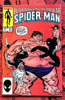 Peter Parker the Spectacular Spider-Man