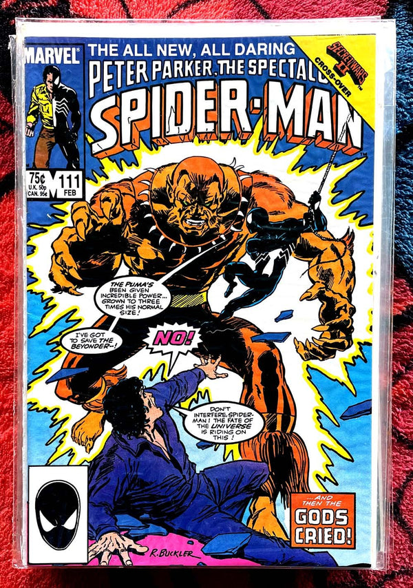 Peter Parker The Spectacular Spider-Man #111-120 VF