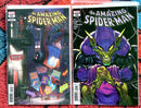 Peter Parker le spectaculaire Spider-Man #24 -Tangled Web #16 &amp; 17 VF-NM