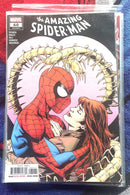 The Amazing Spider-Man