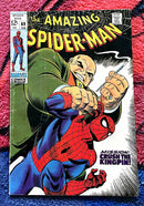 The Amazing  Spider-Man