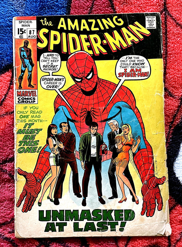 The Amazing Spider-Man  #87   Marvel Bronze  Age