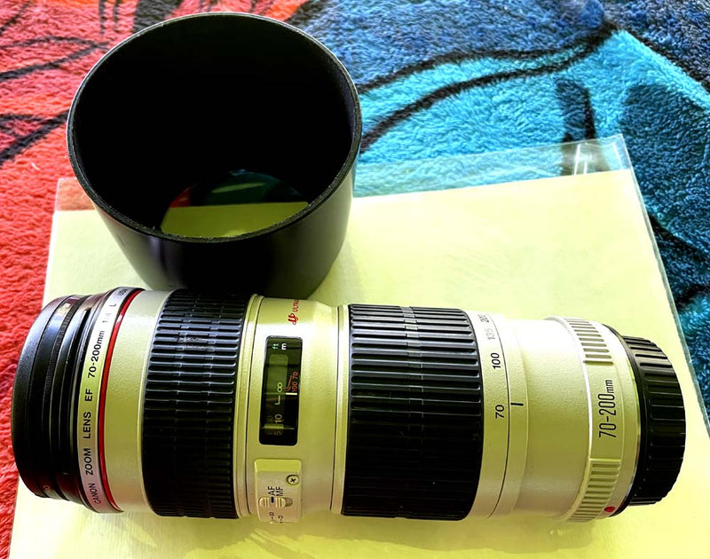 Canon EF 70-200mm f/1.4 L IS USM Telephoto Zoom Lens