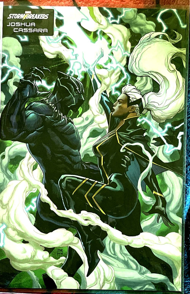 Black Panther Legends 1-4/