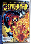 Peter Parker Spider-Man