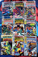 Peter Parker The Spectacular Spider-Man