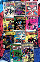 Peter Parker,The Spectacular Spider-Man