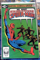 Peter Parker,The Spectacular Spider-Man