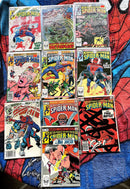 Peter Parker the Spectacular Spider-Man