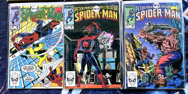 Peter Parker The Spectacular Spider-Man