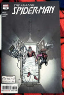 The Amazing Spider-Man-