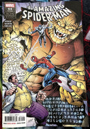 The Amazing Spider-Man