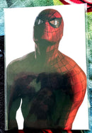 The Amazing Spiderman