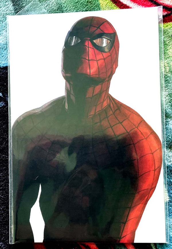 The Amazing Spiderman #50 Alex Ross Timeless Variant NM