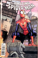 The Amazing Spider-Man