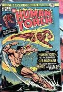 Fantastic Four Family Human Torch