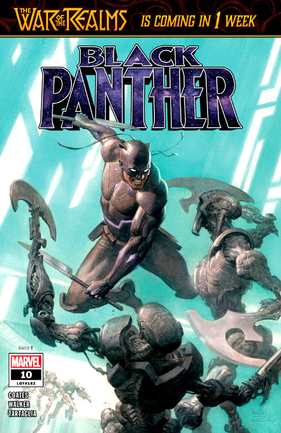 Black Panther Intergalactic Empire #10 VF