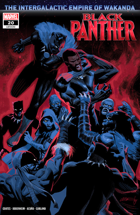 Black Panther Intergalactic Empire #19 VF
