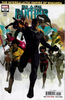 Black Panther Intergalactic Empire