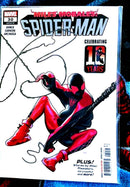Miles Morales Spider-Man