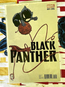 Panthère noire 1 NM