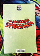 The Amazing Spider-Man