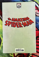 The Amazing Spider-Man
