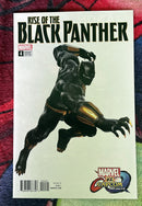 Rise of the Black Panther