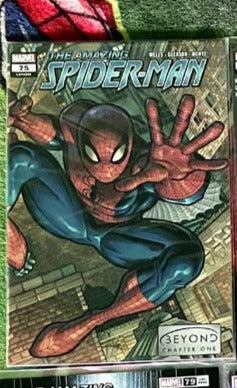 The Amazing Spider-Man #75 -93 série complète complète Au-delà de la série complète complète Variantes VF-NM