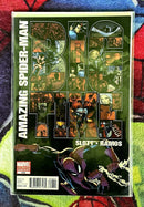 L'Amazing Spider-Man