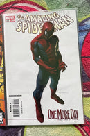 THE AMAZING SPIDER-MAN