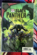 Black Panther King in Black