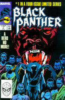 Black Panther Mini series