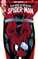 Peter Parker The Spectacular Spider-Man