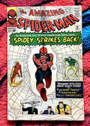 The Amazing Spider-Man