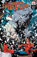 The Amazing Spider-Man