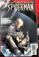 The Spectacular Spider-Man